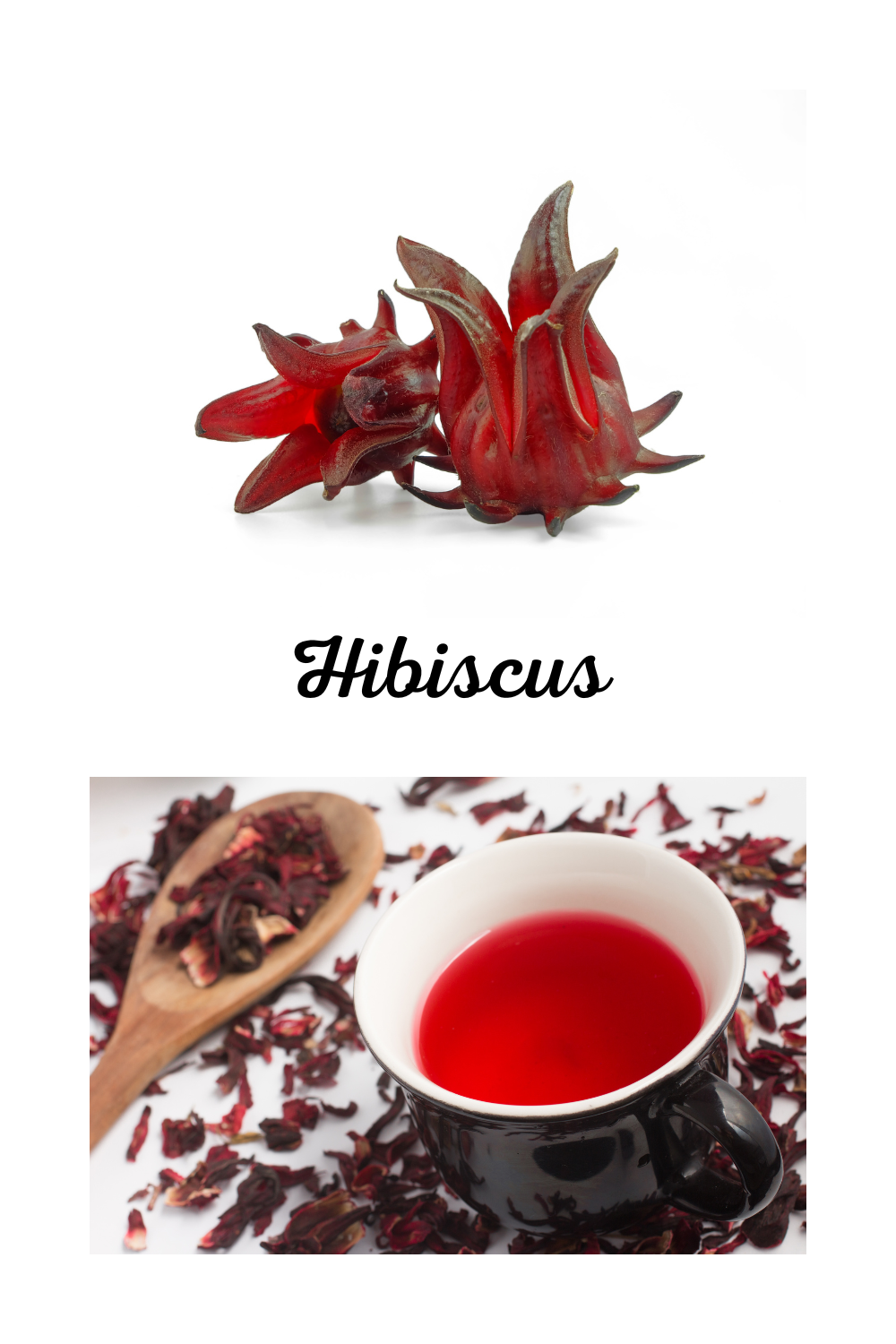 Découvrez l’hibiscus, la fleur appréciée en cuisine
